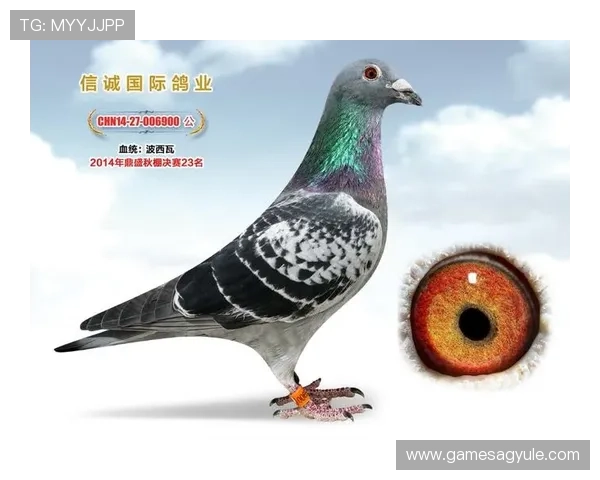 了解AG国际电脑版官网最新安全保障措施，确保您的线上娱乐体验更加安心可靠